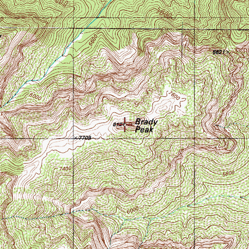 Topographic Map of Brady Peak, AZ