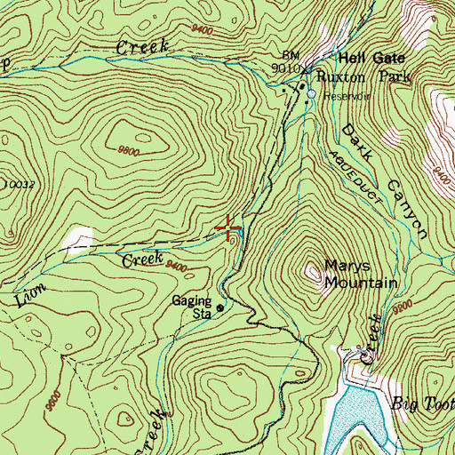 Topographic Map of Lion Creek, CO