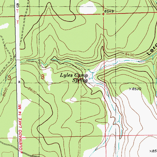Topographic Map of Lyles Camp Spring, NM