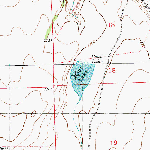 Topographic Map of Cout Lake, NM