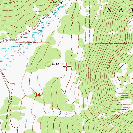 Topographic Map of Leadville North Division, CO