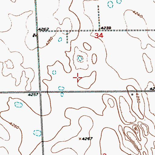 Topographic Map of Merino Division, CO