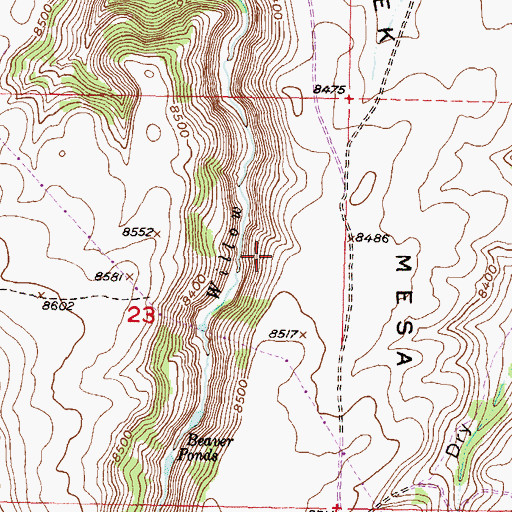 Topographic Map of Sapinero Division, CO