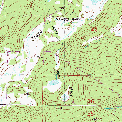 Topographic Map of Silverthorne Division, CO