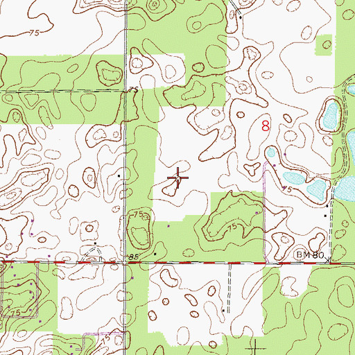 Topographic Map of Bell Division, FL