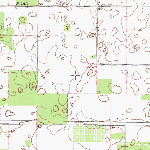 Topographic Map of Branford Division, FL