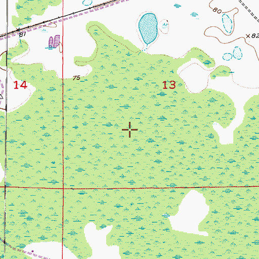 Topographic Map of Central Pasco Division, FL