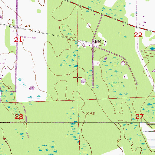 Topographic Map of Central Volusia Division, FL