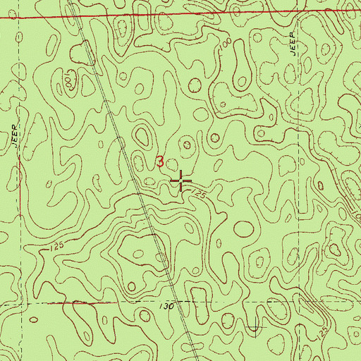 Topographic Map of East Marion Division, FL