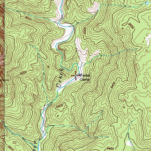 Topographic Map of Pecks Camp, CO