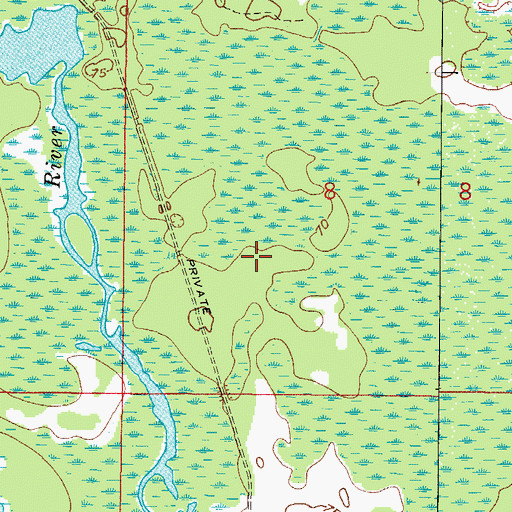 Topographic Map of Lacoochee Division, FL