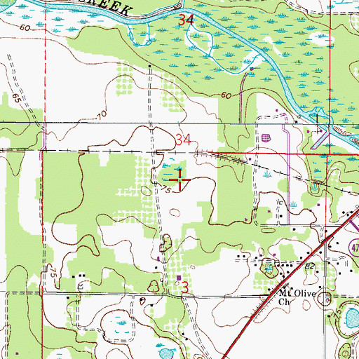 Topographic Map of Leesburg East Division, FL