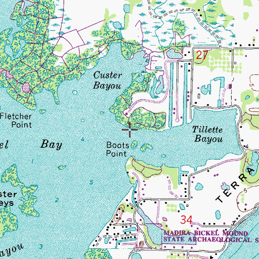 Topographic Map of Palmetto Division, FL
