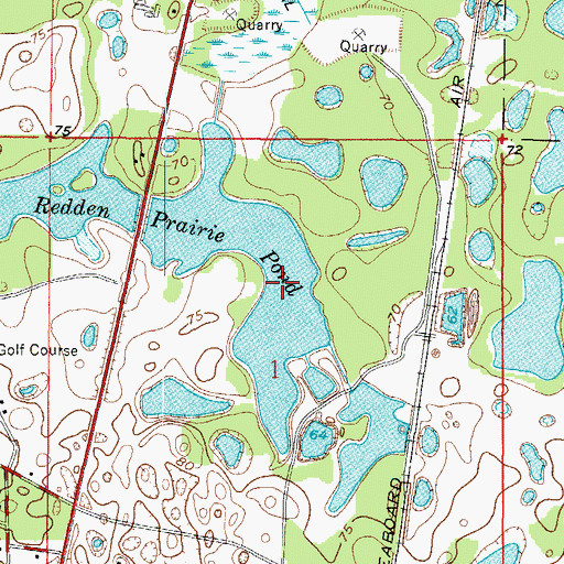 Topographic Map of Ridge Manor Division, FL