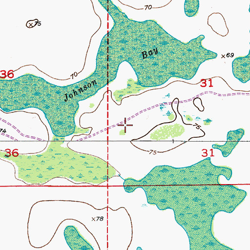 Topographic Map of South and East Osceola Division, FL