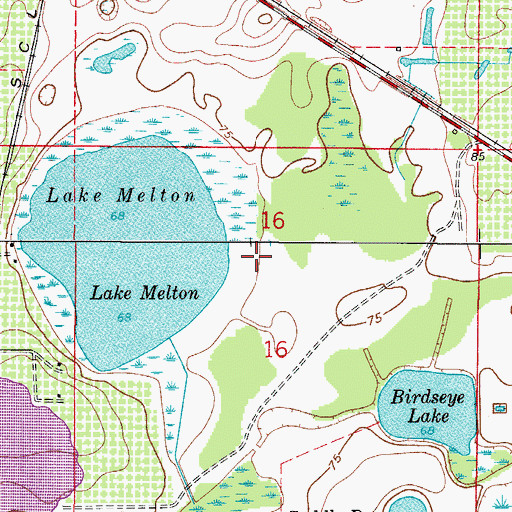 Topographic Map of Tavares Division, FL
