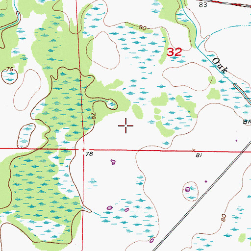 Topographic Map of Wauchula Division, FL