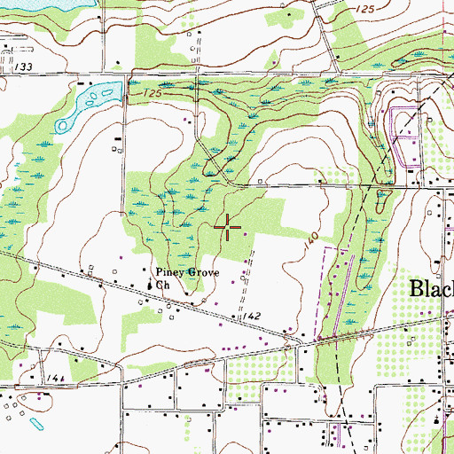 Topographic Map of Blackshear Division, GA