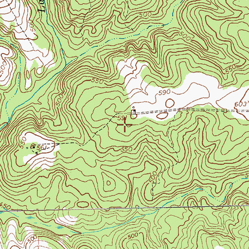 Topographic Map of Buena Vista Division, GA