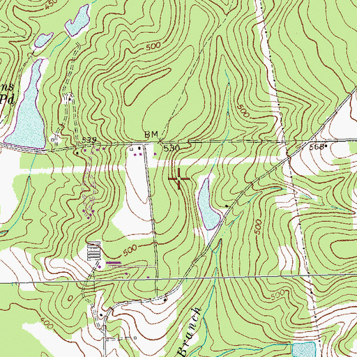 Topographic Map of Butler-Rupert Division (historical), GA