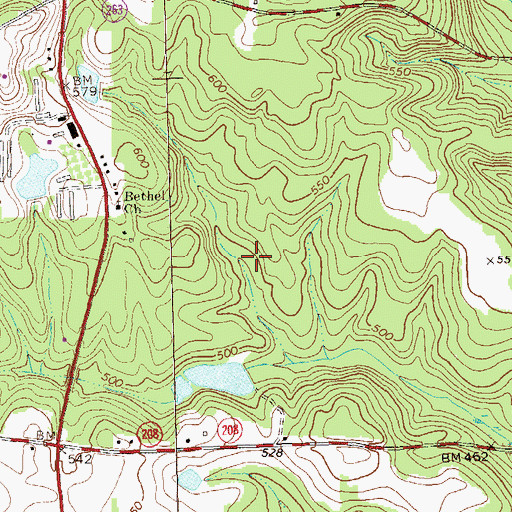 Topographic Map of Carsonville Division, GA