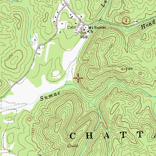 Topographic Map of Cisco Division, GA