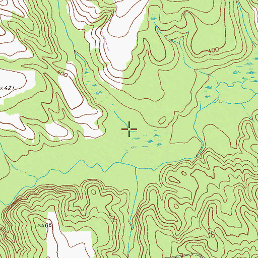 Topographic Map of Ellaville North Division, GA