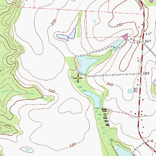 Topographic Map of Irwinville Division, GA