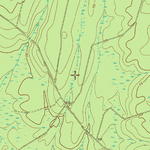 Topographic Map of Ludowici South Division, GA