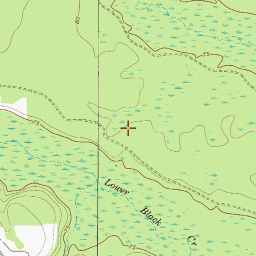 Topographic Map of Nevils-Stilson Division, GA