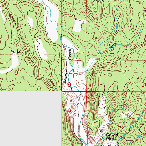 Topographic Map of Patton Canyon, CO