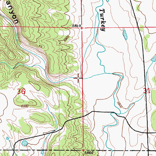 Topographic Map of Rule Canyon, CO