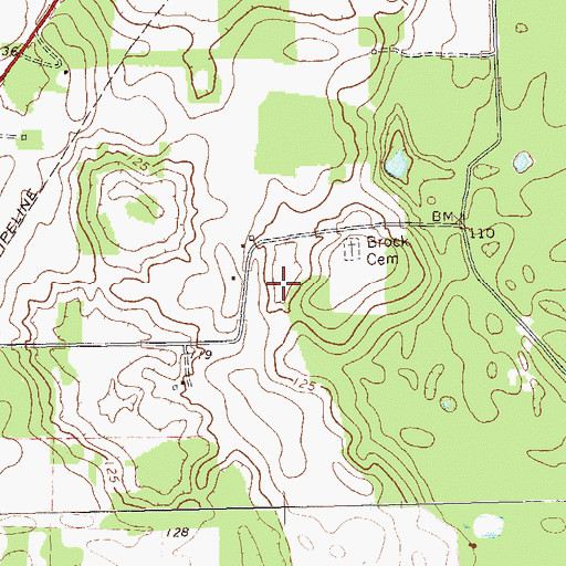 Topographic Map of Mount Pleasant Division, GA