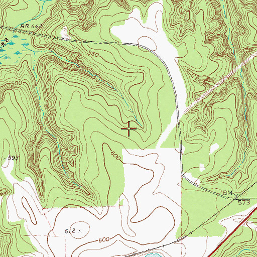 Topographic Map of Richland Division, GA