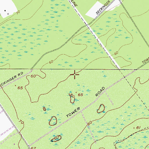 Topographic Map of Rincon Division, GA