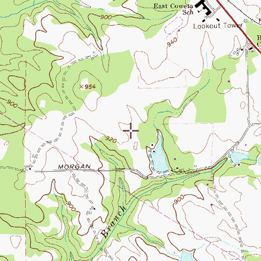 Topographic Map of Senoia Division, GA