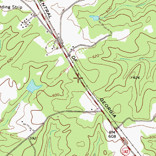 Topographic Map of Shady Dale Division, GA