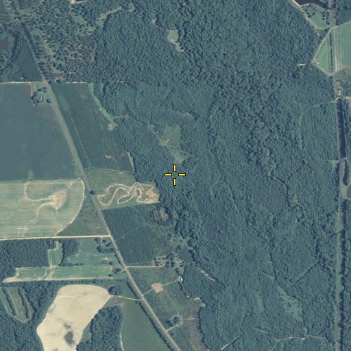 Aerial/Satellite Image of Smithville Division, GA