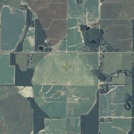 Aerial/Satellite Image of Steam Mill Division, GA