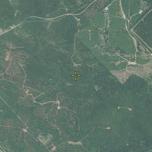 Aerial/Satellite Image of North Twiggs Division, GA