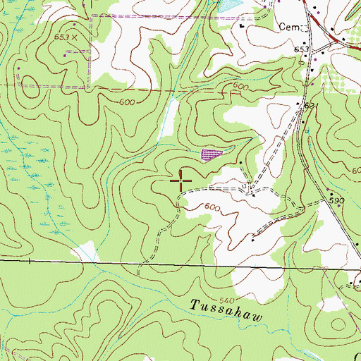 Topographic Map of Worthville Division (historical), GA