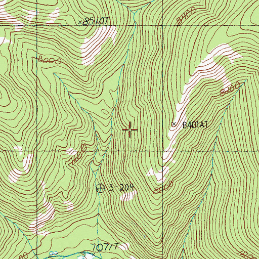 Topographic Map of Forney Division, ID