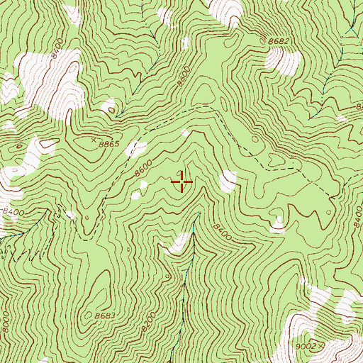 Topographic Map of Stanley Division, ID