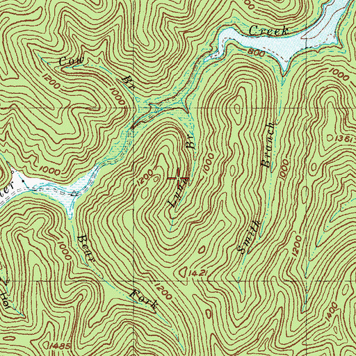 Topographic Map of Buckhorn Division, KY