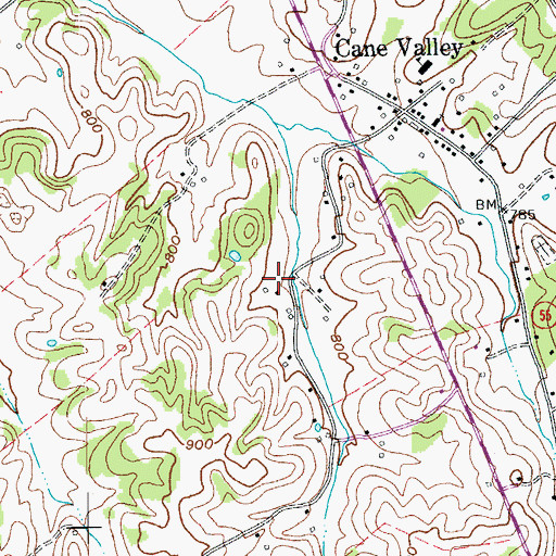 Topographic Map of Cane Valley Division, KY