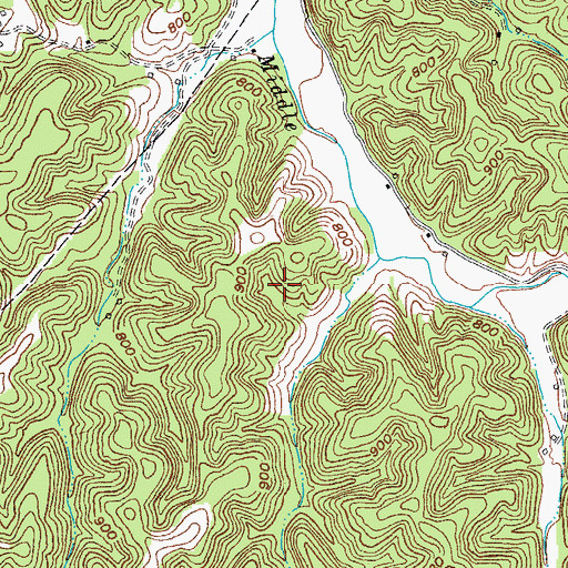 Topographic Map of Gradyville Division, KY
