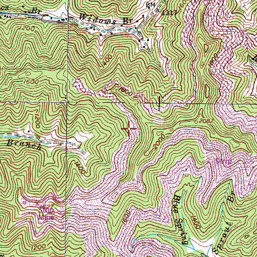 Topographic Map of Phelps Division, KY