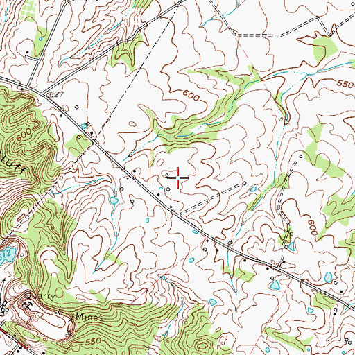 Topographic Map of Princeton Division, KY