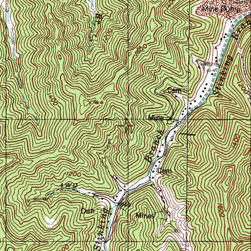 Topographic Map of Raccoon Division, KY