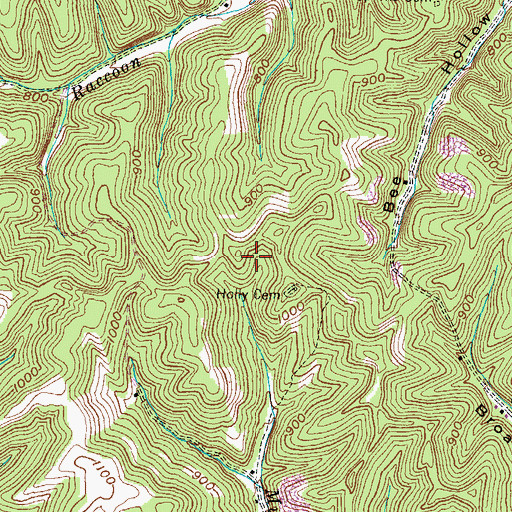 Topographic Map of Tygarts Valley Division, KY